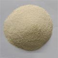 supply Wheat protein concentrate (feed grade)